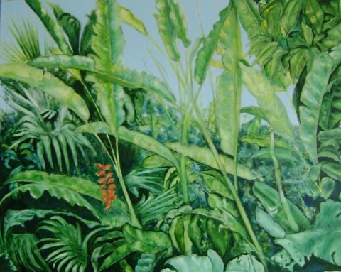 Amazonie
